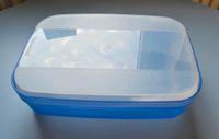 Tupperware Tupper Swing-Box 700 ml Saarland - St. Ingbert Vorschau