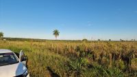 113 ha Kolonie Reinland/Neufeld Caazapá PARAGUAY Nordrhein-Westfalen - Kreuztal Vorschau