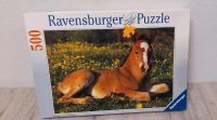 Ravensburger Puzzle Pferd/Fohlen Nordrhein-Westfalen - Hamm Vorschau