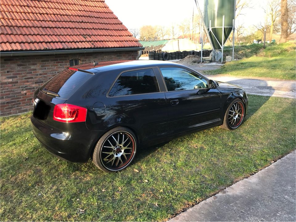 Audi A3 8P Facelift TÜV neu in Jever