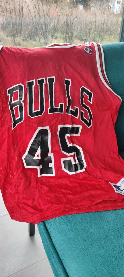 Original Trikot Chicago Bulls Michael Jordan #45 in Dunningen