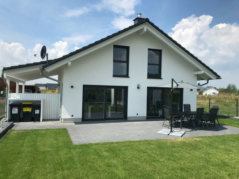 „Oskar“ Ferienhaus am See Urlaub Kurzurlaub Winterurlaub Sauna Kamin Boot Angeln Surfen in Delitzsch