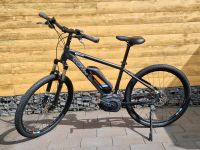 Conway E Bike MTB Mountainbike Rad Fahrrad Bosch Motor Rheinland-Pfalz - Plaidt Vorschau