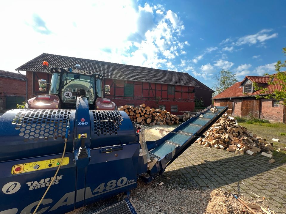 Mitarbeiter Brennholz Produktion in Jübar