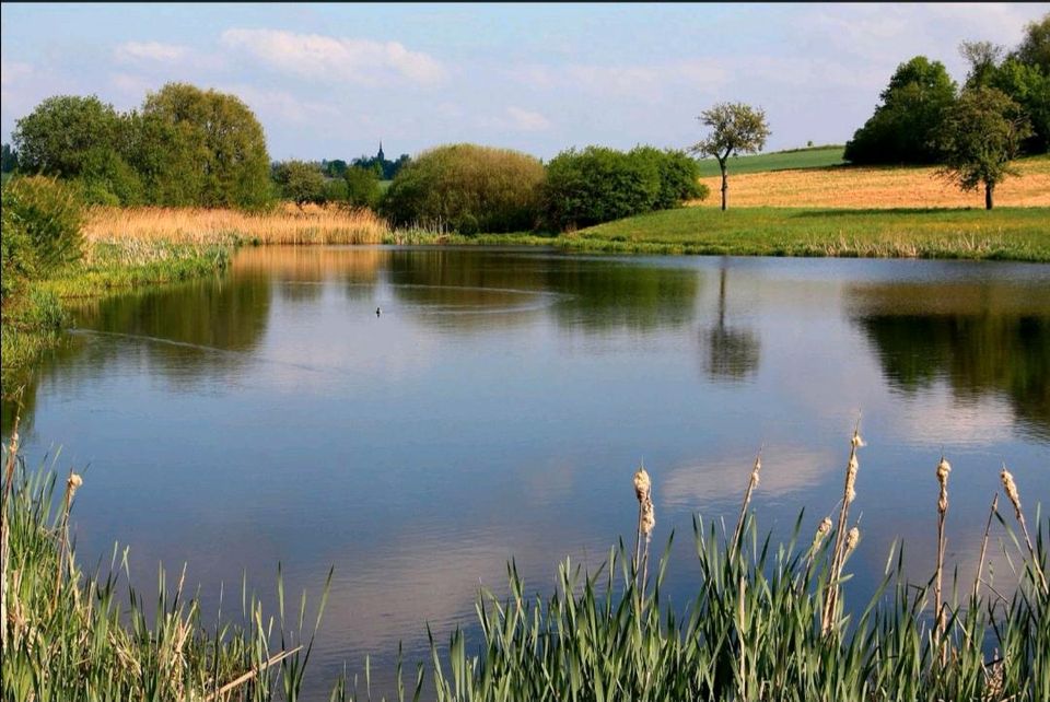 Suche See / Fluss Stück / Gewässer zum pachten oder kaufen in Baden