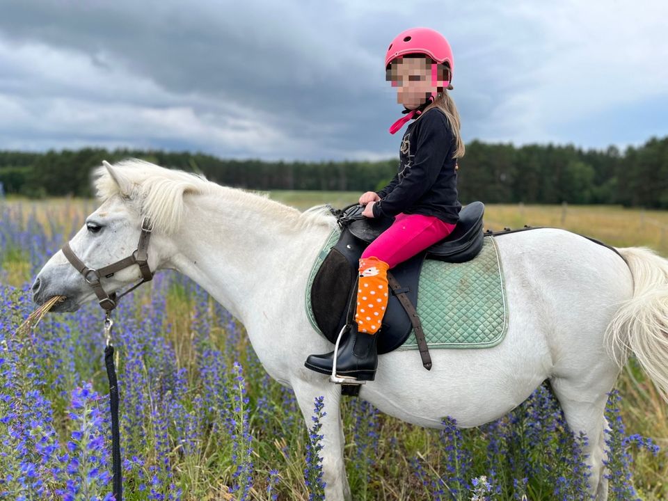 Reitunterricht für Kinder, Führstunde, Ausritte in Rheinsberg