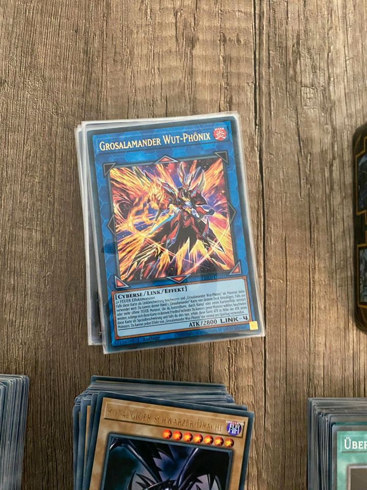 YuGiOh Sammel Karten in Lingen (Ems)