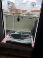 Katzenbett für Fenster Brandenburg - Mühlenbecker Land Vorschau