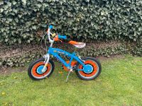 Fahrrad Kinderfahrrad 16 Zoll, Disney Planes Schleswig-Holstein - Neumünster Vorschau