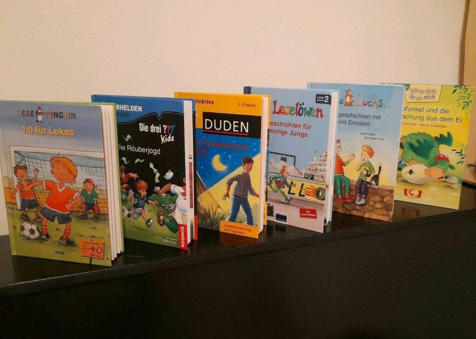 ERSTLESER Kinder Buch Bücher für Jungen Neue TOP!! in Lübeck