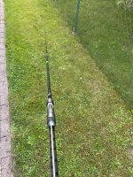 Anaconda Pro Carp 5, 12ft, 3Lb Karpfenrute Thüringen - Gera Vorschau