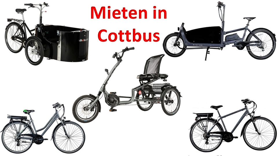 Mieten E-Bike Lastenrad Sesseldreirad DOG-Scooter in Cottbus