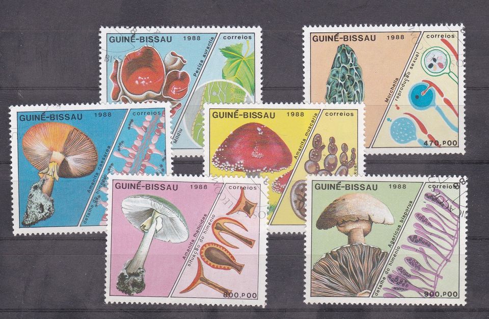 Briefmarken Guinea-Bissau 1988 Mi.-Nr.: 989-994 in Regensburg