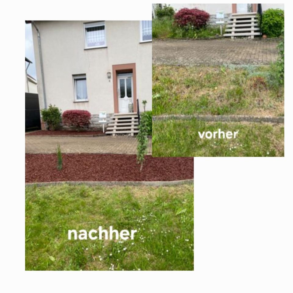 Gartenarbeiten / Heckenschneiden / Rasenmähen / Baumfällung in Merzig