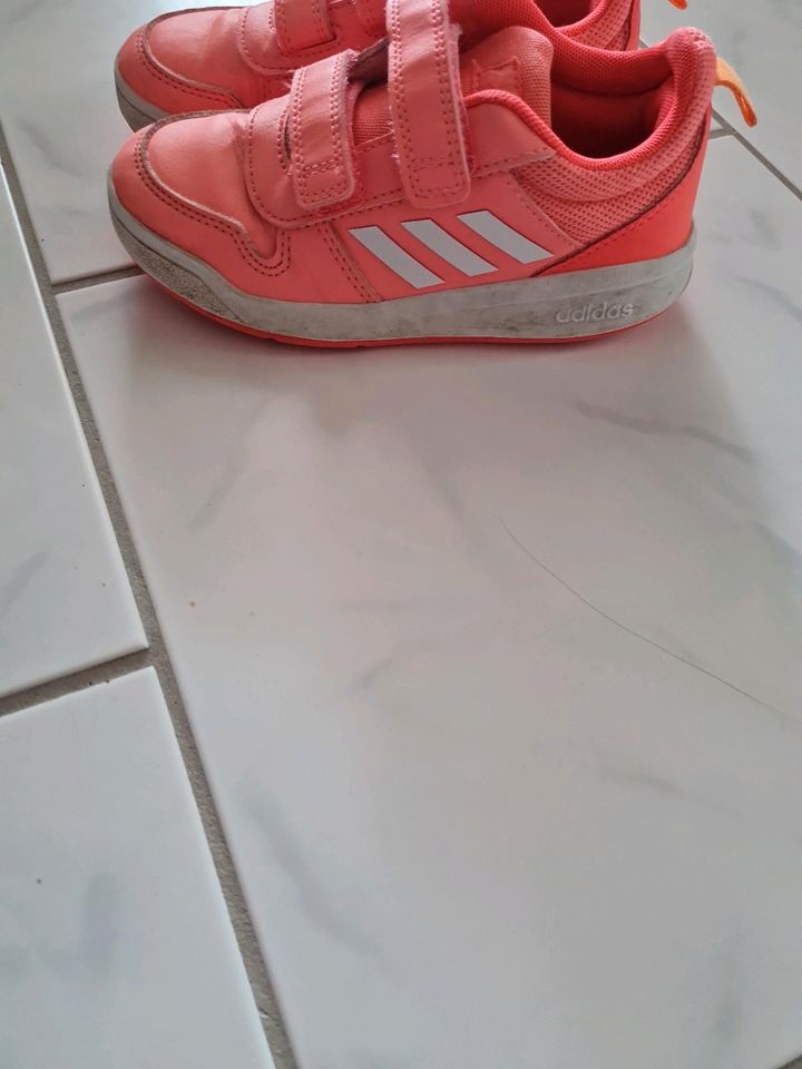 Turnschuhe adidas in Borna