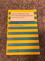 Die Leiden des jungen Werthers von Goethe Schulbuch Schleswig-Holstein - Sieverstedt Vorschau