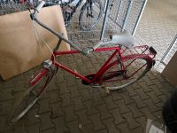 Fahrrad zu verkaufen Hessen - Groß-Bieberau Vorschau
