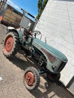 Hanomag Greif Traktor Baden-Württemberg - Karlsruhe Vorschau