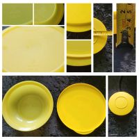 Tupperware Junge Welle Servierschale 400ml Schleswig-Holstein - Norderstedt Vorschau