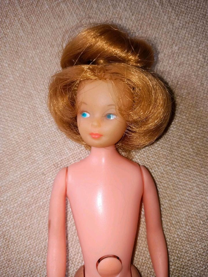 Palitoy Toots/Snouky/Cricket Doll (Barbie) 1965 # 30601 in Stemwede