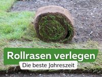 Rollrasen (Spiel&Sport) Niedersachsen - Neuenhaus Vorschau