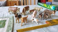 Schleich Bauernhof Tiere Kuh Schaf Schwein Hund Katze  Esel Sachsen-Anhalt - Möser Vorschau