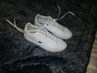 LACOSTE Powercourt Sneaker echt Leder weiß 39 Saarland - Blieskastel Vorschau