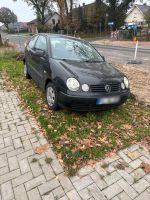 Vw Polo 1,2 Benziner November 2024 Niedersachsen - Esterwegen Vorschau