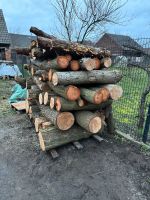 Laub-Mischholz Holz Brennholz Brandenburg - Cottbus Vorschau