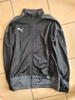 Trainingsjacke von Puma Sachsen-Anhalt - Salzwedel Vorschau