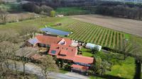 Mit der Natur im Einklang - Landwirtschaftliches Anwesen mit Potenzial! Nordrhein-Westfalen - Telgte Vorschau