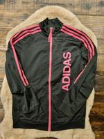 Adidas Trainingsanzug Gr. M (38) Nordrhein-Westfalen - Rheda-Wiedenbrück Vorschau