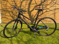 Focus Arriba Fitness-Bike Gr. 50/M Nordvorpommern - Landkreis - Prohn Vorschau