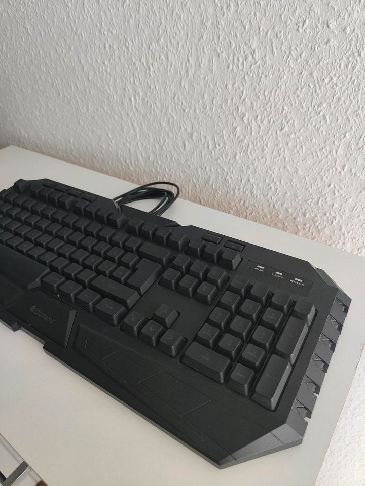 Cooler Master Gaming Keyboard Octane in Bergkamen