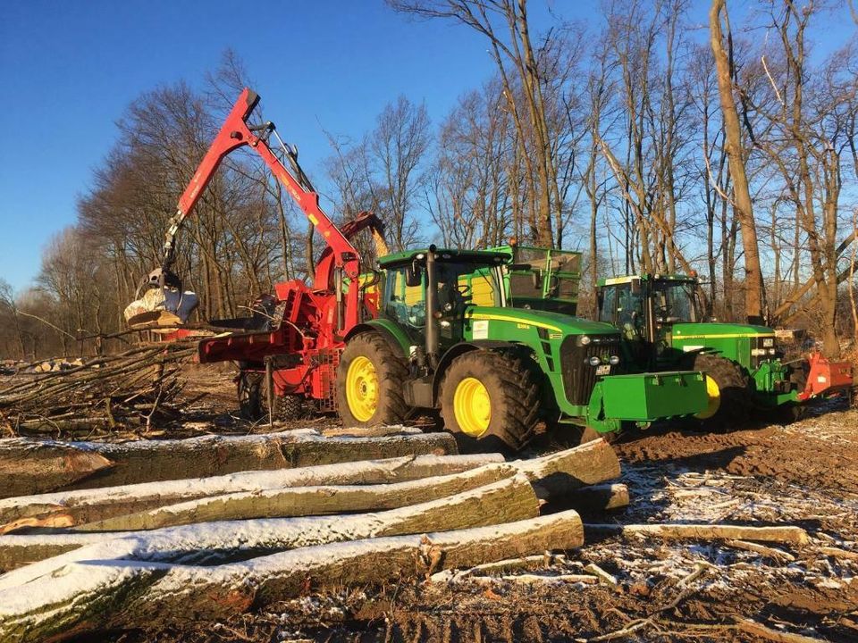 Holzhacken, Holzhäckseln, Forstarbeiten, Sturmschaden beseitigen in Rietberg