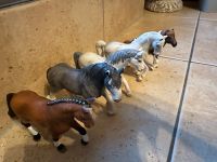 Schleich pferde/ponys Parchim - Landkreis - Sternberg Vorschau