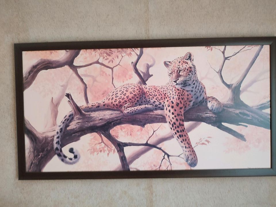 Bild Gepard, Dekoration, Afrika in Wolsfeld