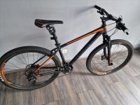 MTB Giant Terrago 2 29" Gr. M Montainbike Fahhrad 2020 Hardtail Sachsen-Anhalt - Blankenburg (Harz) Vorschau