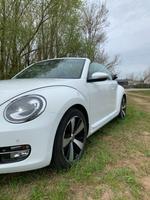 VW Beetle Cabrio -EXCLUSIV- Leder | 1.Hand | Scheckheft Bayern - Aichach Vorschau