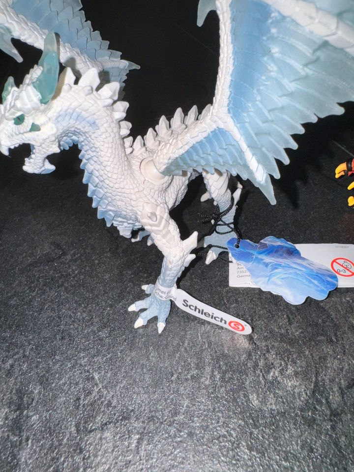 Schleich Eldrador 12 Figuren (2 mit Schild) in Cremlingen