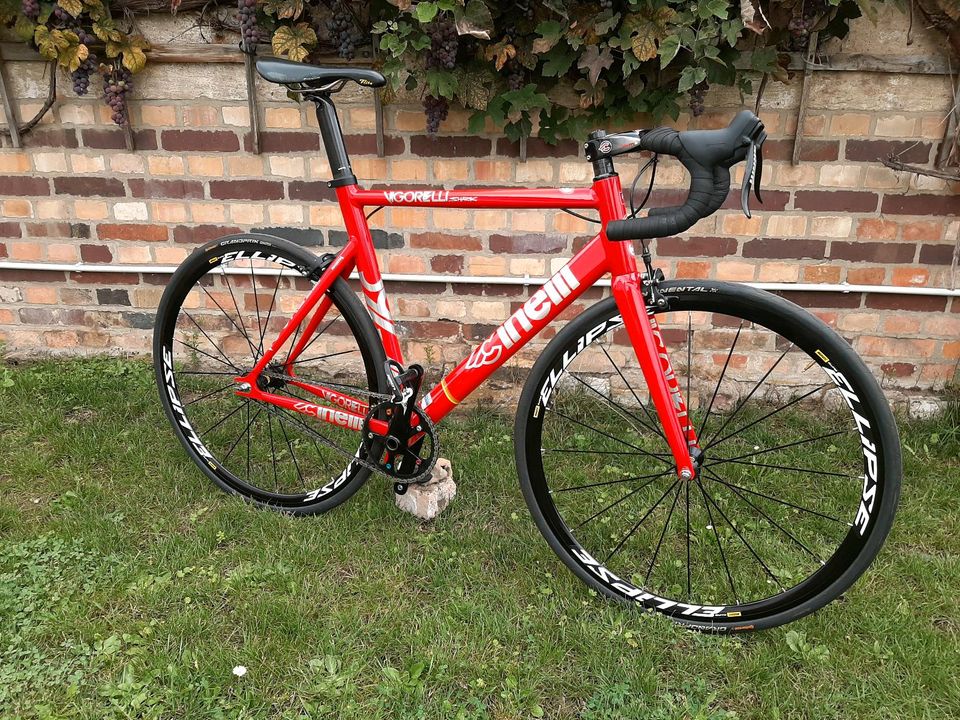 Cinelli Vigorelli Shark Rahmenset Gr.L 56cm in Wettin-Löbejün