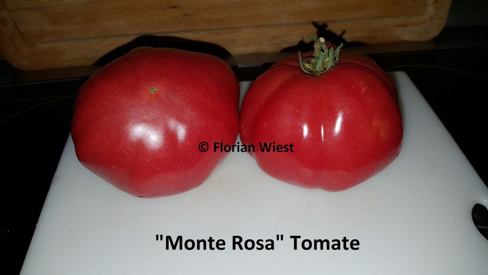 Tomaten - Fleischtomaten, Salattomaten und  Coktailtomaten Samen in Freital