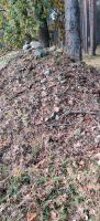 Kartoffelsteine Feldsteine Findlinge Kies zu verschenken Niedersachsen - Schnega Vorschau