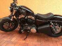 Clean Black passend für Harley Davidson Sportster Seitentasche Parchim - Landkreis - Plau am See Vorschau