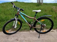 Mountainbike Kellys KLC Vanity 70 Rahmen 425 19" Fahrrad Sachsen - Dippoldiswalde Vorschau