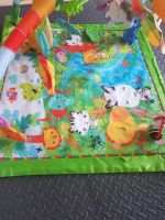 Fisher Price Spielbogen Nordrhein-Westfalen - Recke Vorschau