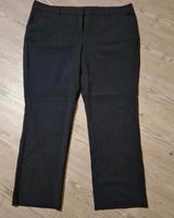 Stoffhose Nadelstreifenhose Business Anzug48/50 Damen C&A Yessica Sachsen - Glauchau Vorschau