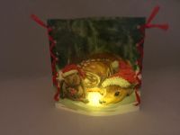 Stimmungslicht "Weihnachtsigel und -rehkitz" handmade Deko Xmas Nordrhein-Westfalen - Erkelenz Vorschau