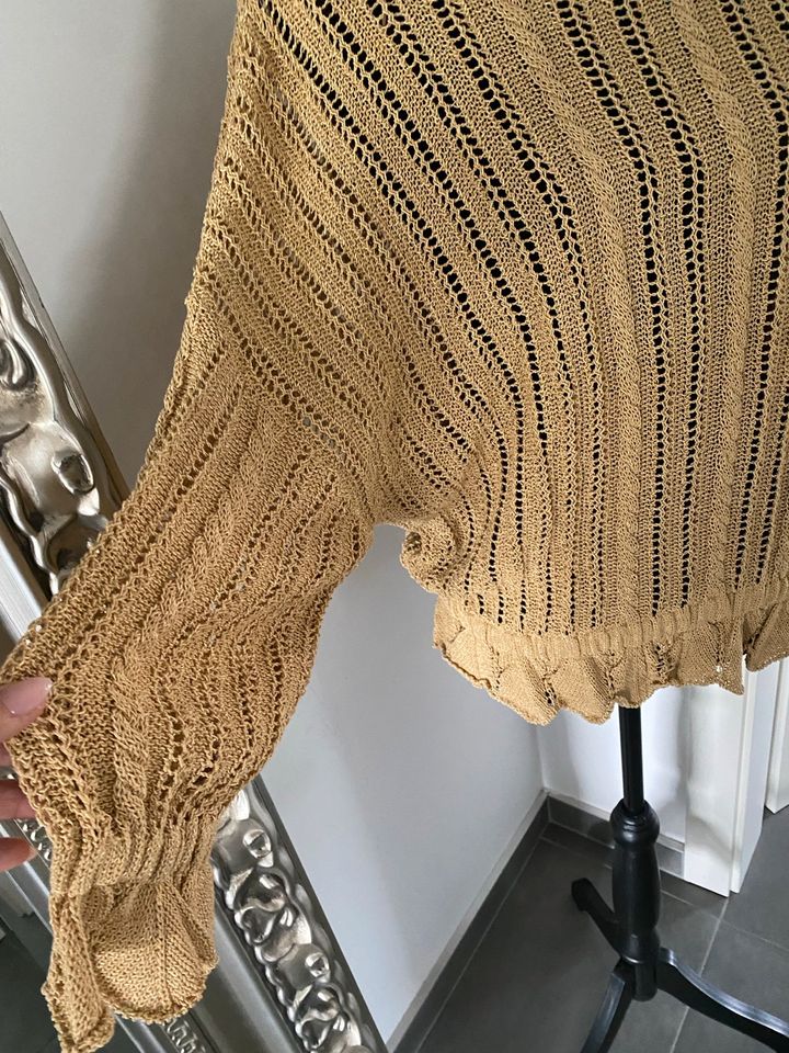 Zara Pullover beige goldfarben Rüschen L in Saarbrücken