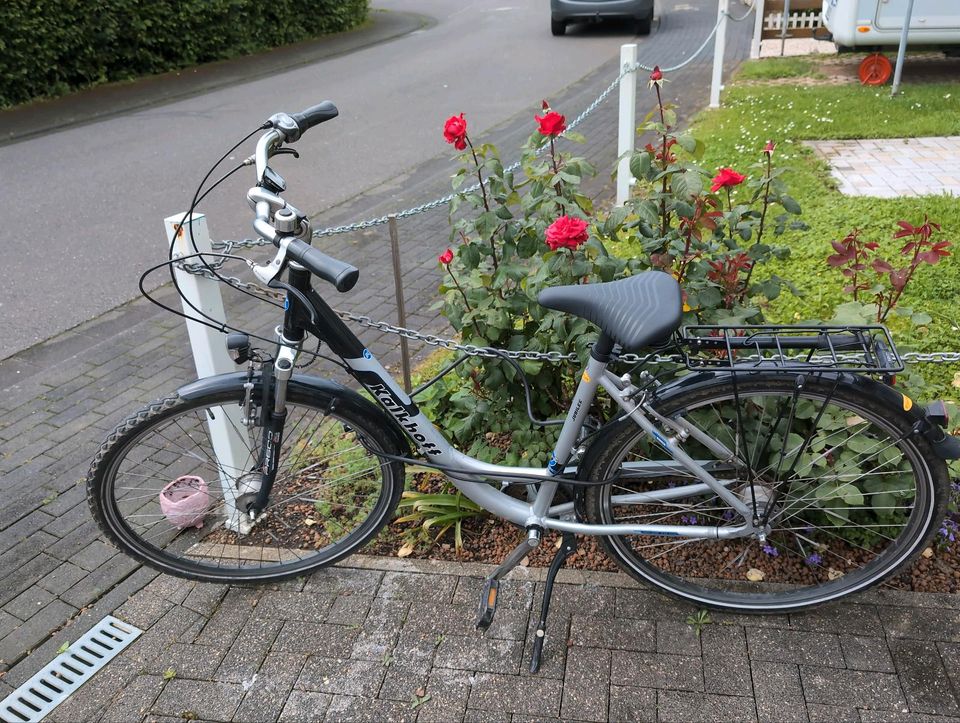 Damenrad City Fahrrad Stadtrad in Sinzig